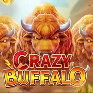 CRAZY BUFFALOFachai